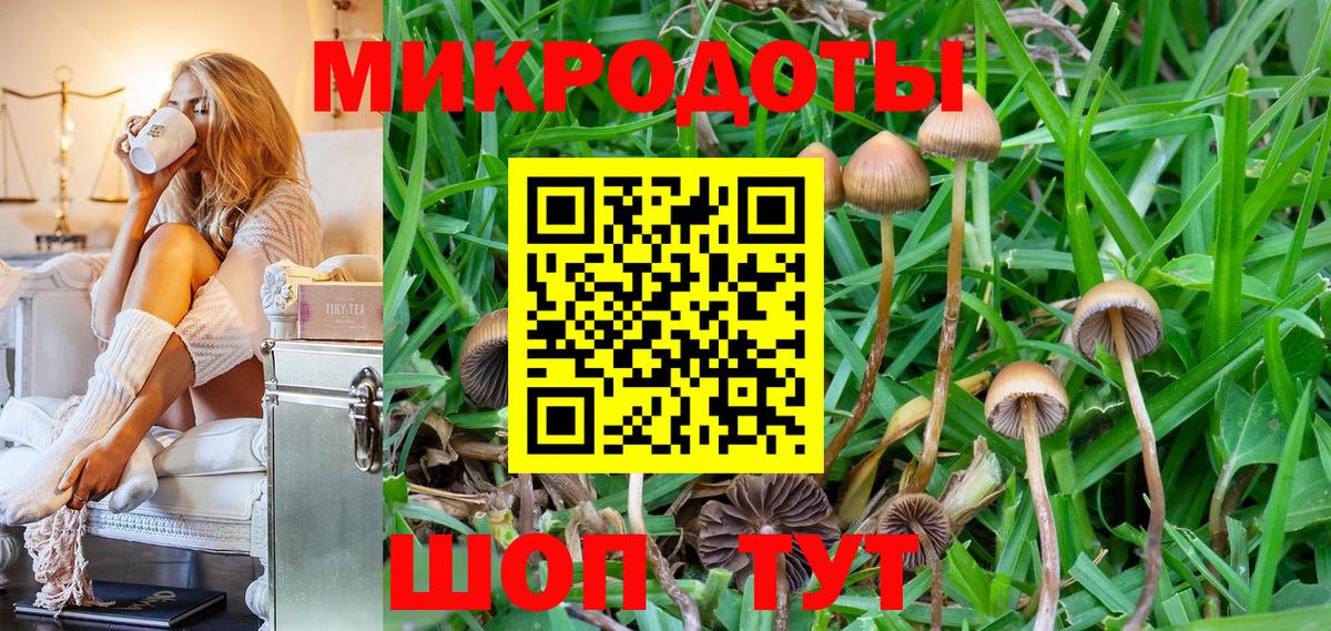 Бугуруслан  Псилоцибиновые грибы MAGIC MUSHROOMS  Вход с VPN  Псилоцибиновые грибы GOLDEN TEACHER 